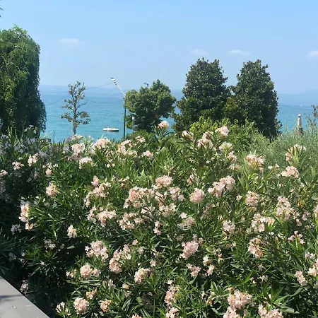 Riva Cornicello Mimosa 바르돌리노